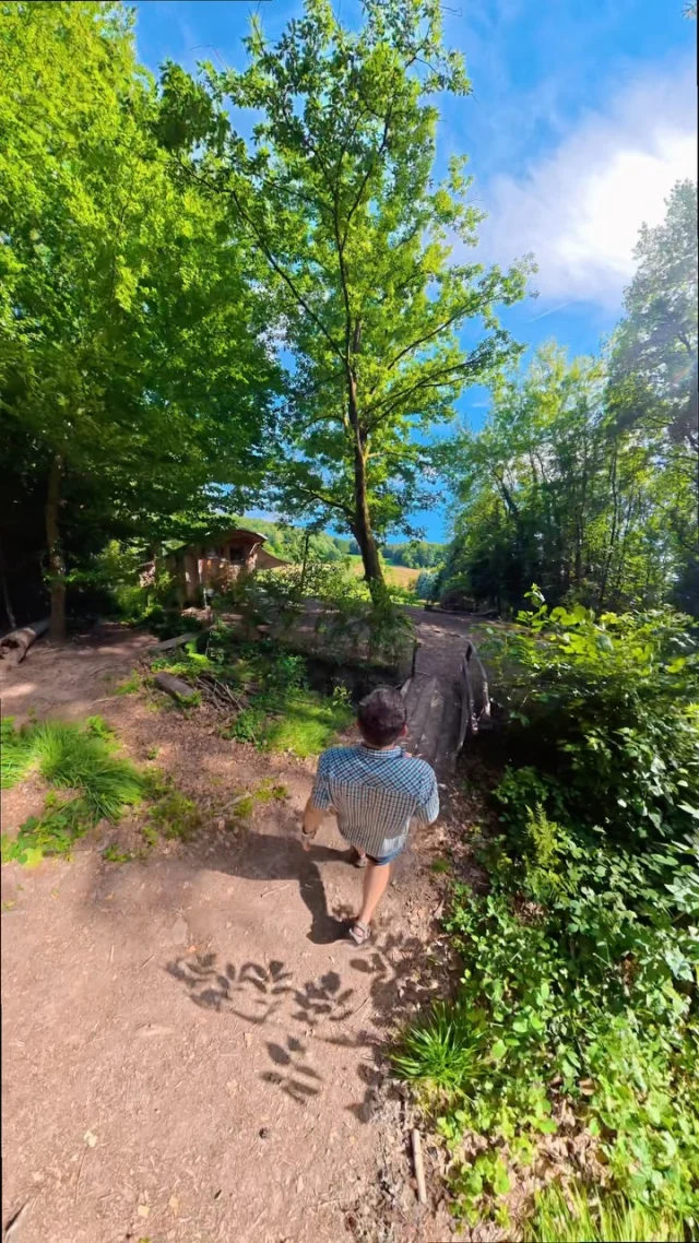 Bauwagen der Eichhörnchen geputzt 🐿️☀️🧼 Noch eine kleine Runde mit der #osmo360 🌳